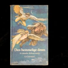 Søren Christensen, Den hemmelige drøm