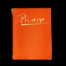 Georg R Mac,  Historien om Picasso