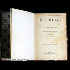 Hector Malot, Hjemløs