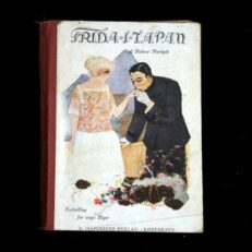 Helene Hørlyck, Frida i Japan