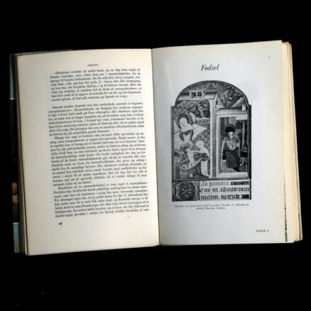 Mary Eden, Sengen - Image 2