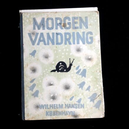Harald H. Lund, Morgenvandring