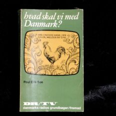 Poul Erik Søe, Hvad skal vi med Danmark ?