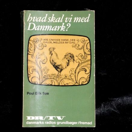 Poul Erik Søe, Hvad skal vi med Danmark ?