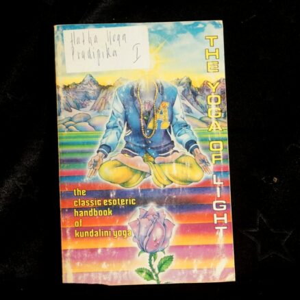 Hans-Ulrich Rieker, The Yoga of Light