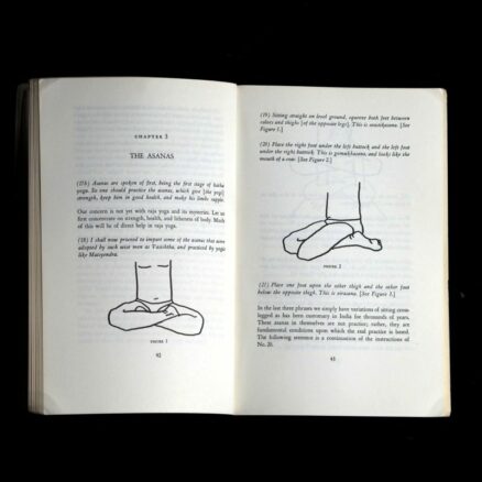 Hans-Ulrich Rieker, The Yoga of Light - Image 2