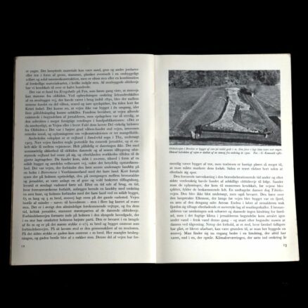 Kristjan Bure,  Danske veje - Image 2