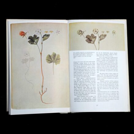 M. Skytte Christiansen,  Historien om Flora Danica - Image 2