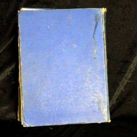 Harry Hamilton Johnston - L. Haden Guest, The Outline of the world to-day - Image 4
