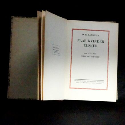 D.H. Lawrence, Når kvinder elsker - Image 2