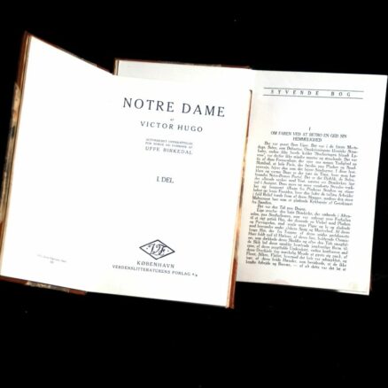 Victor Hugo, Notre Dame - Image 2