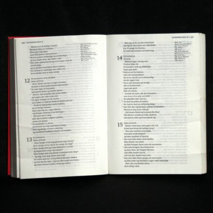 Biblen, 2008 udgave - Image 2