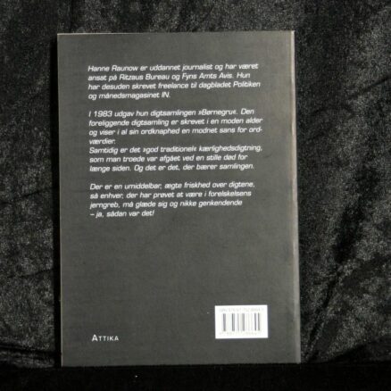 Hanne Raunow, Cyberspace love - Image 3