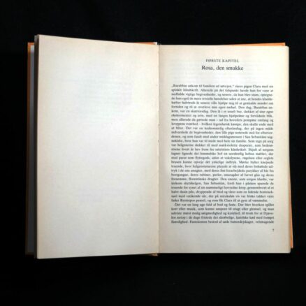 Isabel Allende, Åndernes hus - Image 2