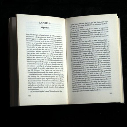 Isabel Allende, Uhyrernes by - Image 2