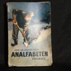 Ivar Lo-Johansson, Analfabeten