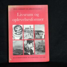 Povl Schmidt, Livsrum og oplevelsesformer