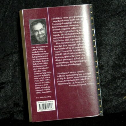Finn Abrahamowitz, Mystikkens væsen - Image 3