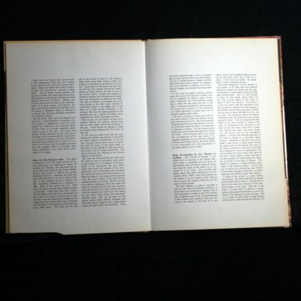Gian Guido Belloni, Art of the Western World - Image 2