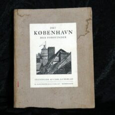 Carl Lundblad, Det København der forsvinder