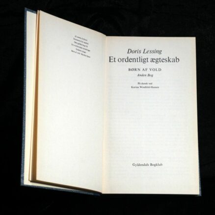 Doris Lessing, Et ordentligt ægteskab - anden bog