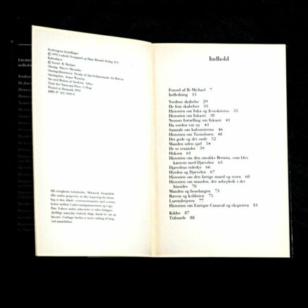 Lisbeth Overgaard,  Erobringens fortællinger - Image 2