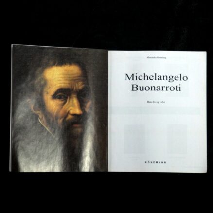 Alexandra Grömling, Michelangelo Buonarroti - Image 4