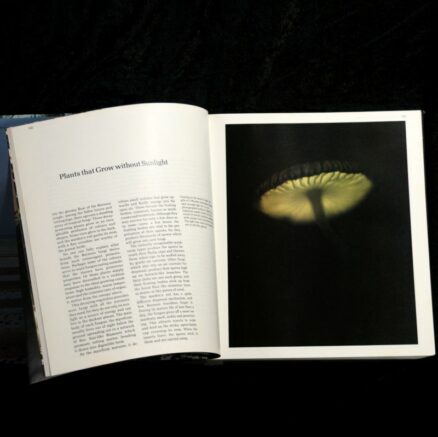 John Mackinnon, Borneo - World's Wild Places - Image 2