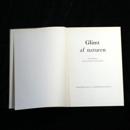 Glimt af naturen - Image 2
