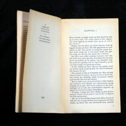 Georges Simenon, Maigrets barndomsven - Image 2