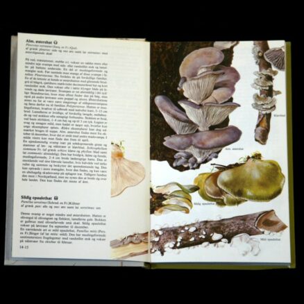 Sven Nilsson, Svampe i Naturen 2 - Image 2