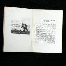 Felix Nørgaard, Johannes V. Jensens Himmerland