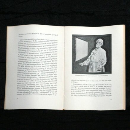 J. F. Willumsen Museet - Frederikssund - Image 2