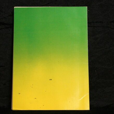 Klaus Aarsleff, Vision 2. 1985 - Image 4