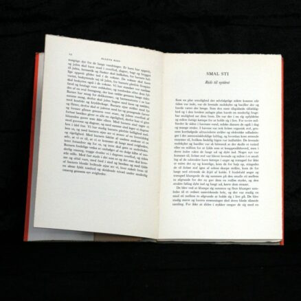 Albert Dam, Elleve rids - Image 2