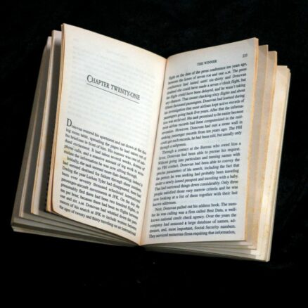 David Baldacci, The Winner - Image 2