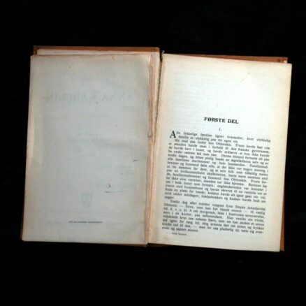 Lev Tolstoj, Anna Karenina 1. bind - Image 3