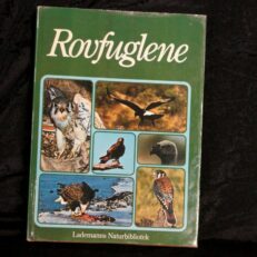 Michael everett, Rovfuglene