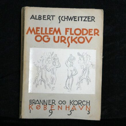 Albert  Schweitzer, Mellem floder og urskov
