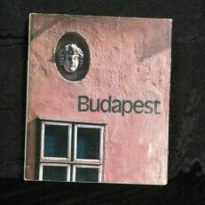 Endre Veszi, Budapest