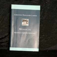 Christine Pilegaard Larsen, Medier og medieundervisning