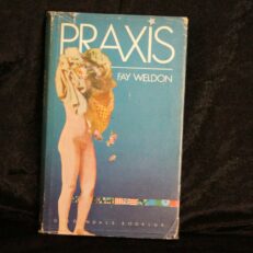Fay Weldon, Praxis