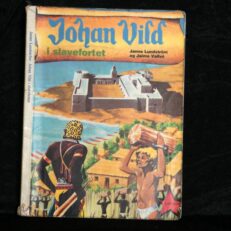 Johan Vild i slavefortet