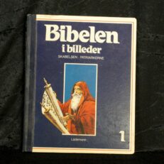 Ètienne Dahler, Biblen i billeder 1