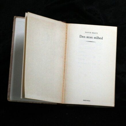 David Beaty, Den store stilhed - Image 2