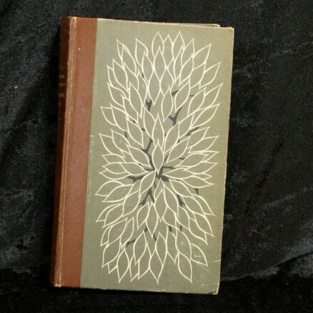 William Faulkner, Soldatens løn - Image 4