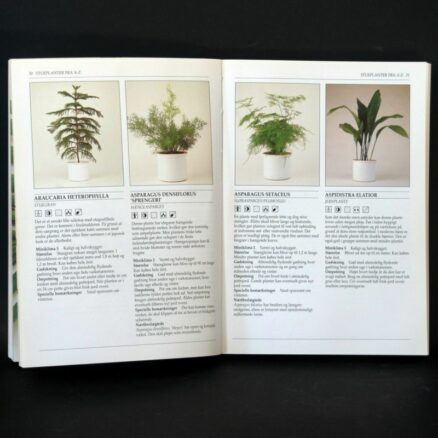 John Brookes,  Stueplanter - Image 2