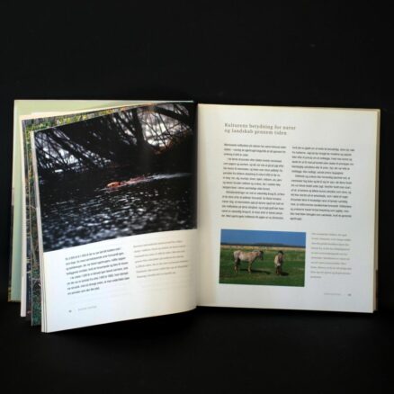 Michael Stoltze,  Dansk natur - Image 2