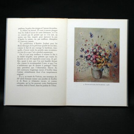 Andrée Joubert, Musée des Beaux-Arts de Nice - Galerie - Image 2