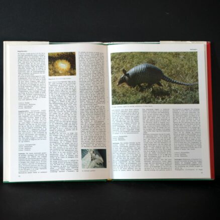 J. B. Kirkegaard, Lademanns Dyreleksikon 2 - Image 3